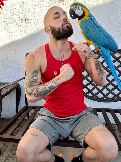 Kiss kiss 🦜 https://t.co/1QStUH958n<a href="/tag/orlando"class="tags"><span>#orlando</span></a>