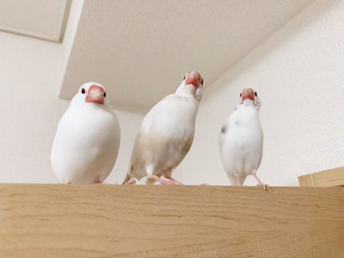 saibo_9's tweet photo. おはよ〜 https://t.co/ikIn3BS1Ut
