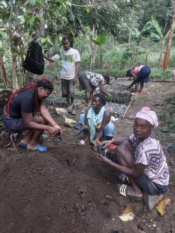 HaitiReforest's tweet photo. #SeedlingSunday
A reforestation intern (with long braid) helps in a nursery creating small packets for seed germination. Folks create 500,000 every year. Every Year! https://t.co/TTQF7mRMXR