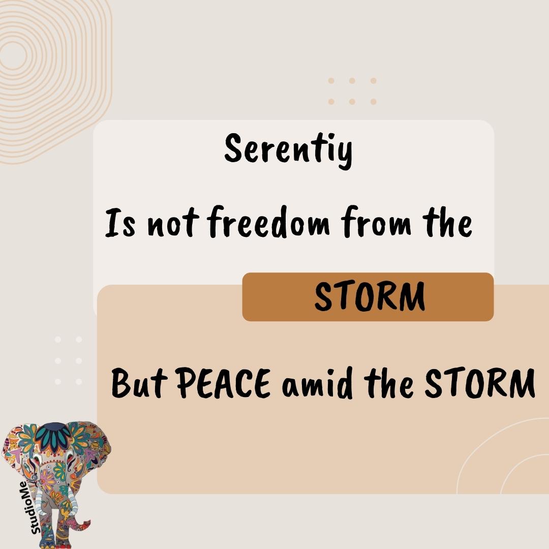 Studio Me tweet media