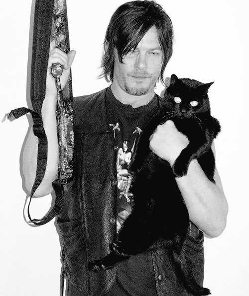 Calling all #EITDTribe members. Our precious kitty has passed.💔🐈‍⬛ Say a prayer for Norman. Send your love. <a href="/NormansCat/">Eye In The Dark</a> @leedusme1227 <a href="/collette04/">Collette</a> <a href="/FlashiKat/">☆ Rach ☆</a> <a href="/GFACE_4EVER/">👻FACE</a> <a href="/Stef_Helen/">Stef</a> <a href="/ReedusFan2/">Stephanie</a> <a href="/Jennaswan1/">Normans Hand</a> @legitDottieO <a href="/wendigrier22/">Wendi</a> <a href="/Tonniemayo5/">Tonnie ❤️ TWD</a> @itsKatieJLester