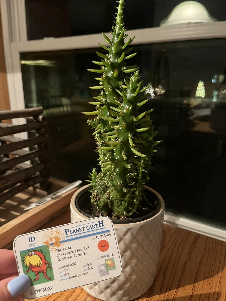 LauerKaitlin's tweet photo. This plant is able to healthily grow because of the nutrients in its soil and proper sun exposer. #apesland @franklinlorax https://t.co/68cd3Ws98j