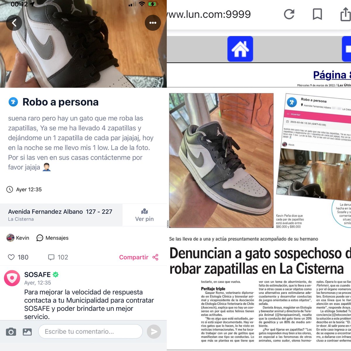 Pamela Quintuprai tweet media