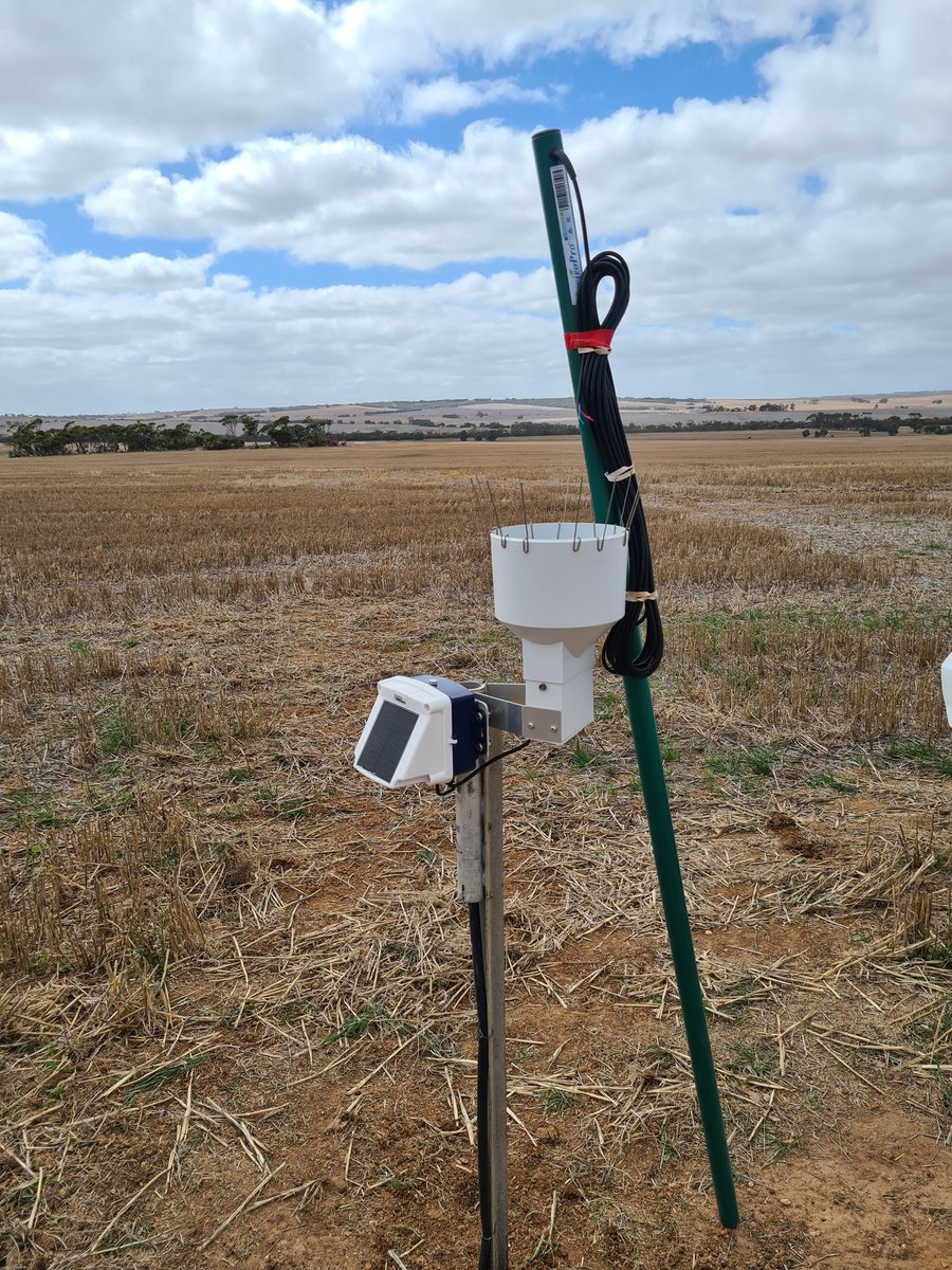 Neat low power soil moisture probe &amp; rain monitoring site installed on Eyre Peninsula this morning. After ~270mm of rain this year, there was moisture to 160cm for the <a href="/EnviroProProbes/">EnviroPro SoilProbes</a> to be pushed into. Will be interesting to track rooting depth thru season <a href="/danads243/">Dan Adams</a>