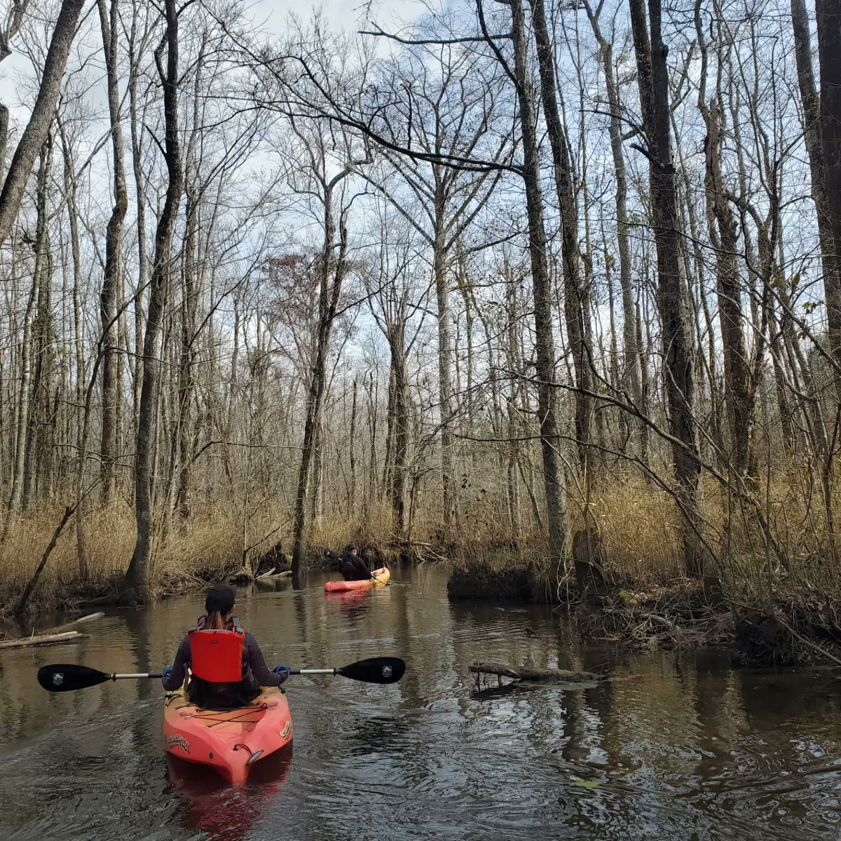 Adventure Kayak Tours tweet media