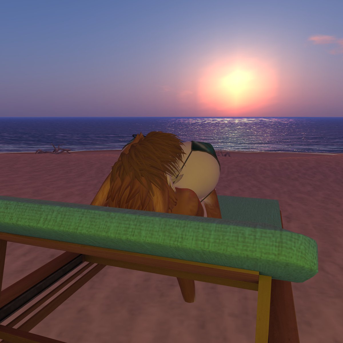 Taking some time to enjoy the sun of the few days off to bask at the usual beach spot. Always good to work on a tan, even if you are covered in fur.