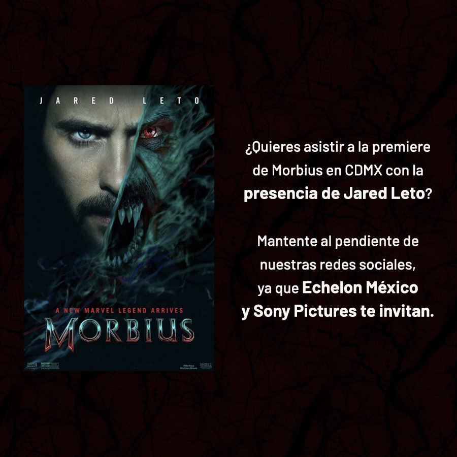 EchelonMex's tweet photo. 🚨🚨🚨¡¡¡SORPRESA!!!🚨🚨🚨

🦇🦇🦇🦇🦇🦇🦇🦇🦇🦇🦇 https://t.co/aw2HeCv5vt