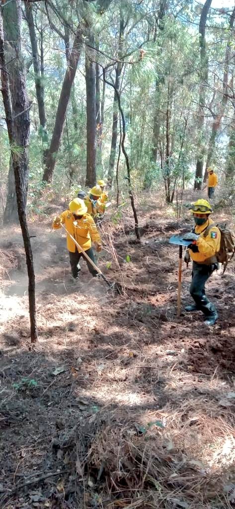 TNoticiasMexic1's tweet image. #LOCAL | Confirman que los  #Zacatuches trabajan en la construcción de brecha #cortafuego en las inmediaciones del hípico de la Colonia del Bosque de #Cuernavaca.