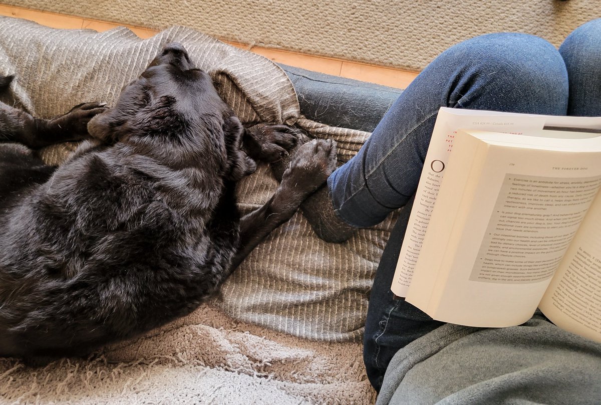 These little moments that they give us - heal us 🖤

#DogsofTwittter #dogtwittercommunity #twitterdogcommunity #labrador #blacklabrador #englishlab #dogmom #labs