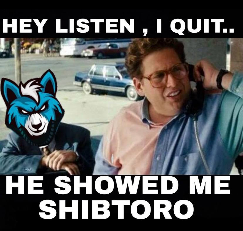 Awesome1APE's tweet photo. @shibtoro @1goonrich #Shibtoro #Shibtoro 
#Yup #Yupp https://t.co/oyHrPhXYSI