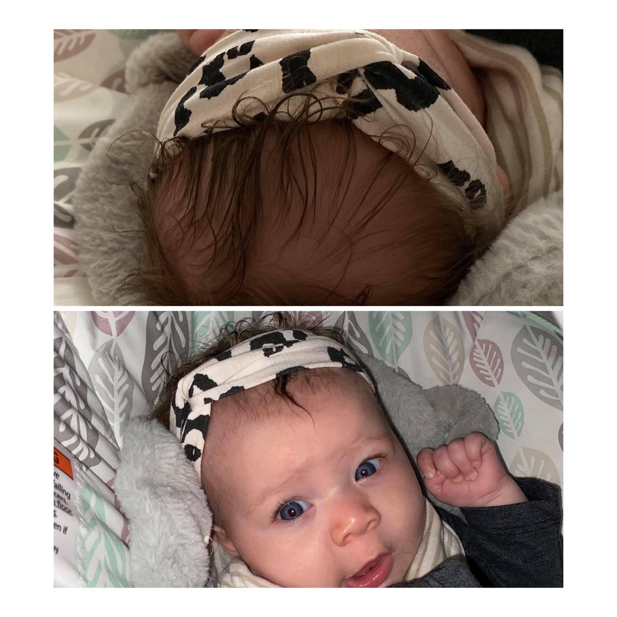 camilliojo's tweet photo. How it started // How it’s going https://t.co/bNADkPaI1b