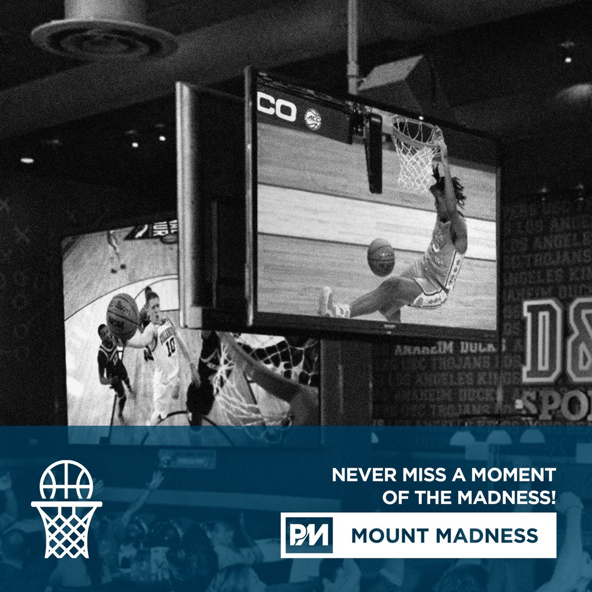 Hang strong with our Symmetry ceiling-mount and never miss a moment of the big dance this March! #MountUp
^
#PremierMounts #SymmetryLine
#SolvedWithSymmetry #NewHeights
#HangWithPremier #VideoWall #DigitalSignage
#DisplayMounts #CeilingMounts #MarchMadness #TheBigDance