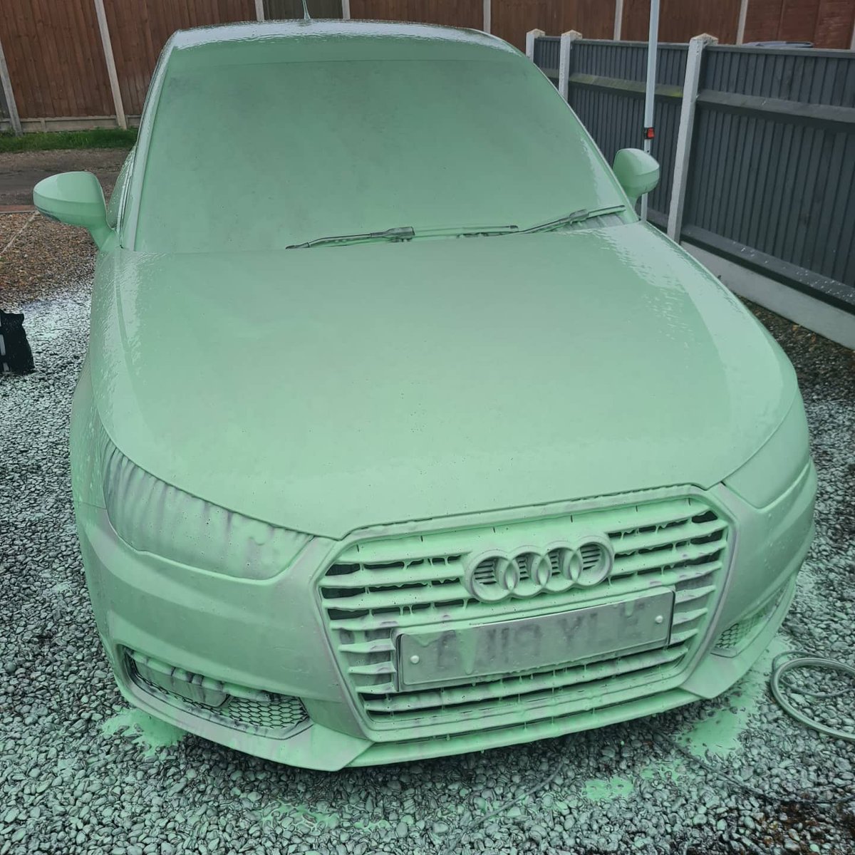 ElmDetailing's tweet photo. Different colour snow foam https://t.co/MsZcUx87Bq