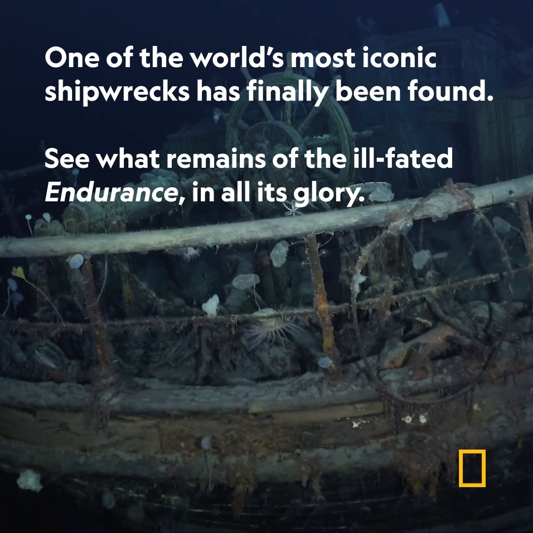 National Geographic on Twitter "Lost for more than a century, explorer Ernest Henry Shackleton