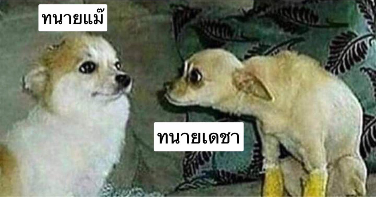 plengko_spacez's tweet photo. :คดีนี้มีแต่คนโกหก ตอแหล คำพูดไม่น่าเชื่อ
:ก็เรื่องนี้มันมีแต่คนตอแหล
:ตอแหลทั้งนั้น อ่ะ ไม่งั้นคุณลองบอกสิ๊ใครไม่โกหกบ้าง

 #ทนายแม๊ #โหนกระแส #แตงโมต้องไม่ตายฟรี https://t.co/ZehLlt0eTB