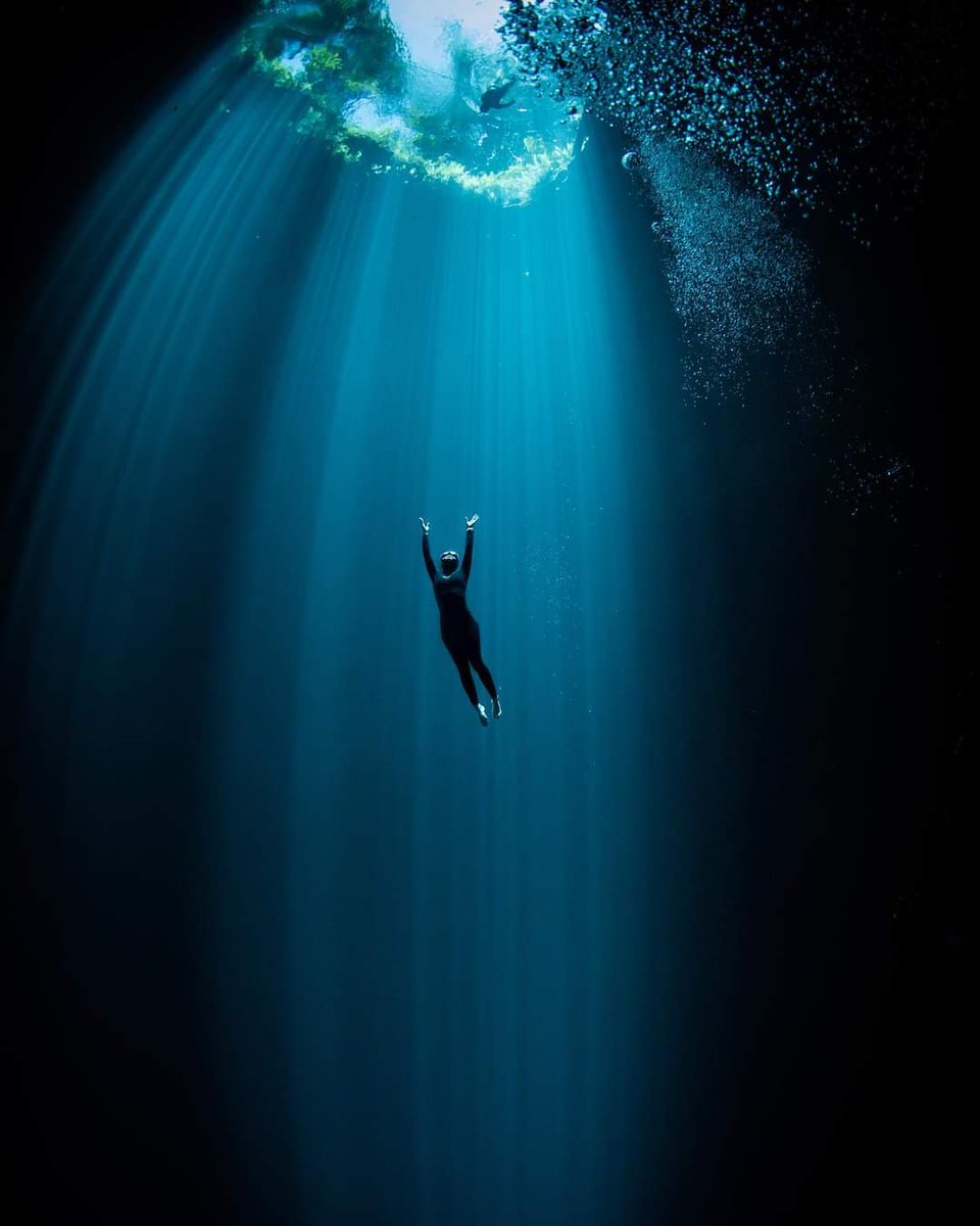 MagdalenaMSDM's tweet photo. No al tren sobre cenotes.
No somos adversarios, somos jóvenes que tememos por nuestro futuro. Que las ‘soluciones’ de hoy, no sean el problema de nuestro mañana.
El año pasado nuestra pieza “Yo soy cenote” fue seleccionada en la convocatoria #CreateCOP26 por los jueces, https://t.co/O7uGXCNh7d