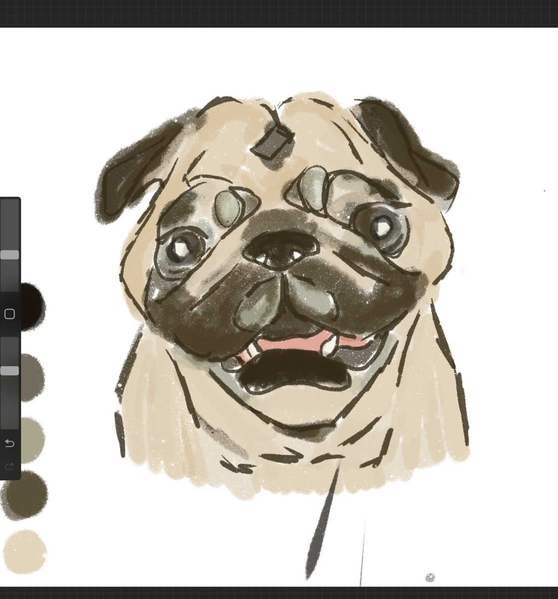 camposnangela's tweet image. first custom rug w wrinkles 🥺🤍
i think this is my favorite so far

owners ig @/_kianajean