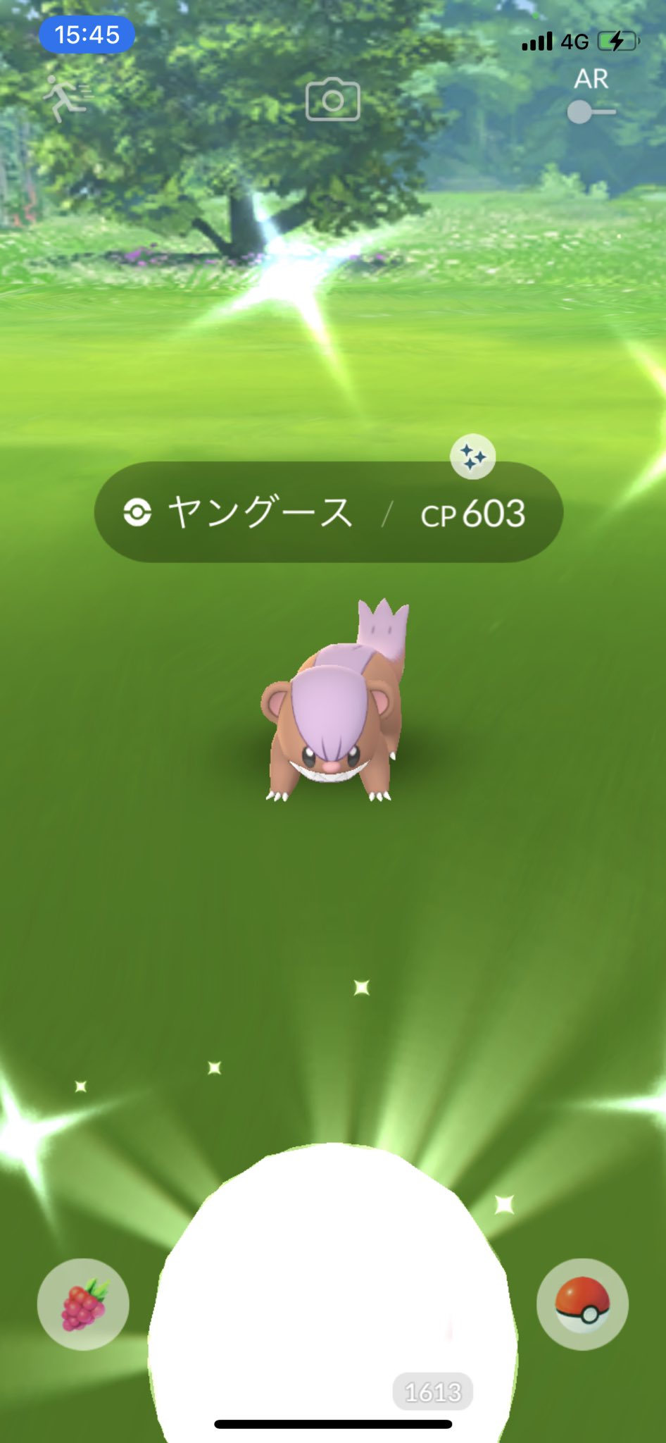 Twitter 上的 Kenjitchi 無い案からのプレゼント ポケモンgo ヤングース色違い T Co I8dpdc15re Twitter Twitter 上的 Kenjitchi 無い案からのプレゼント ポケモンgo ヤングース色違い T Co I8dpdc15re Twitter