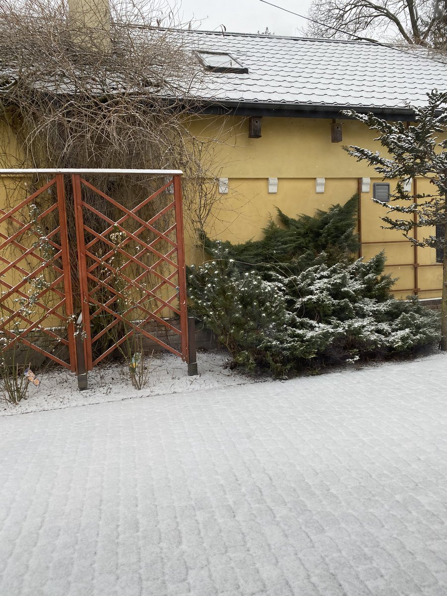 Oh no, the roads here close to the Ukraine border aren't great, on these roads we didn't want snow!! <a href="/PatKennyNT/">Pat Kenny Newstalk</a> <a href="/acpire/">ACP Ireland</a> <a href="/MurphyDunne/">Elaine Dunne Federation Early Childhood Providers</a> <a href="/ncn4children/">National Childhood Network</a> <a href="/rodericogorman/">Roderic O’Gorman TD</a> <a href="/ZaraKing/">Zara King</a> #earlyyearsaid