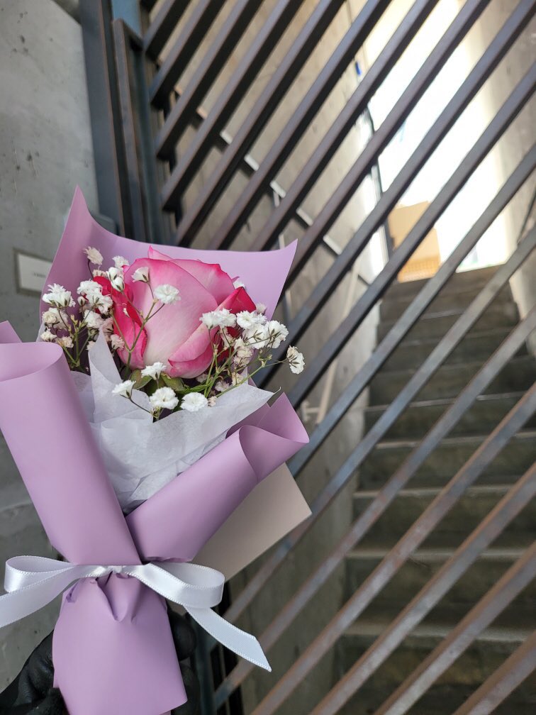 🌼🦦 tweet media