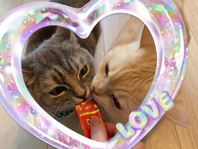 Line Camera公式アカウント 無料スタンプ クリアでかわいいハートシェイカー風 推しの愛を詰め込もう スタンプはこちら T Co Mnxdv35cn5 T Co Afzla0nao3 Twitter