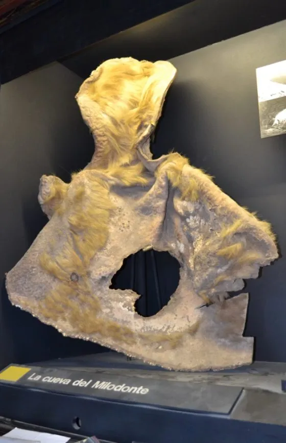 IMO solid work presenting evidence for paintings depicting American megafauna like giant sloths, Ame...