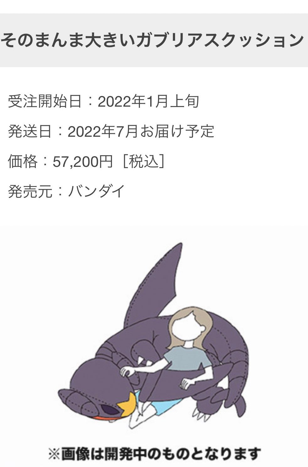 新着 総合福袋 大きなガブリアスクッション 大きなガブリアス