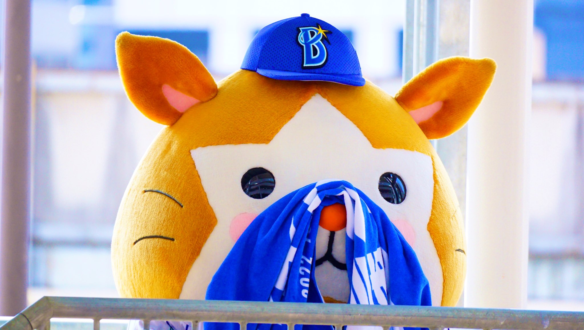 モーリス タオルが Baystars 横浜denaベイスターズ スターマン 横浜反撃 T Co Espcly923p Twitter