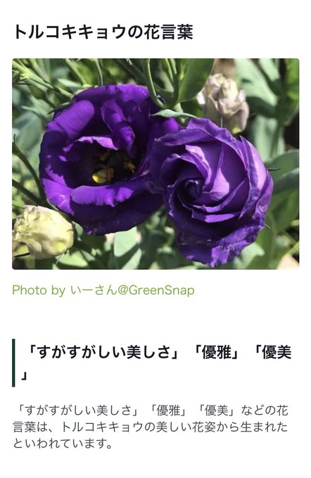 トルコキキョウのtwitterイラスト検索結果