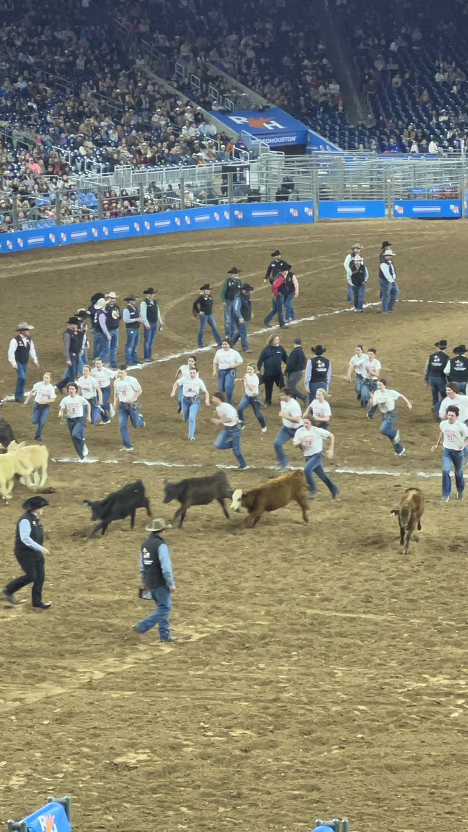 cypressparkffa's tweet photo. What a night!!! She may not have caught a calf, but she will always be #1 to us! #RiseUp #ItsTigerTime #CyParkHS https://t.co/joRNJqupx5