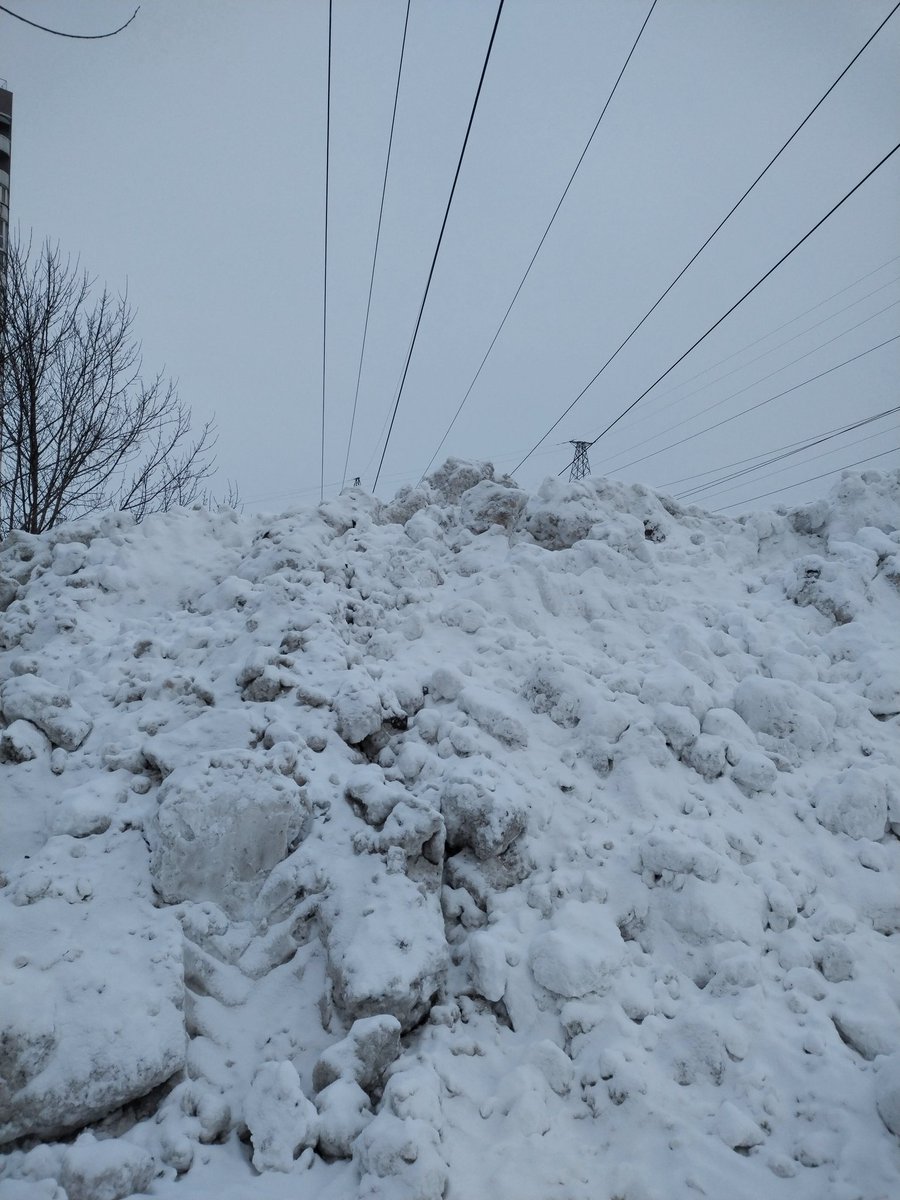 Alexandr Borisovich tweet media