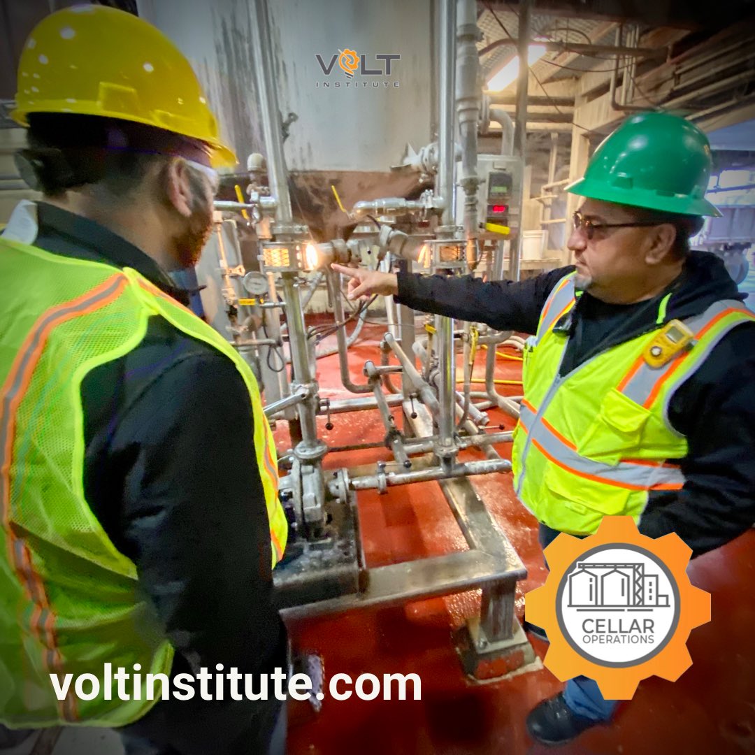 VOLT Institute tweet media