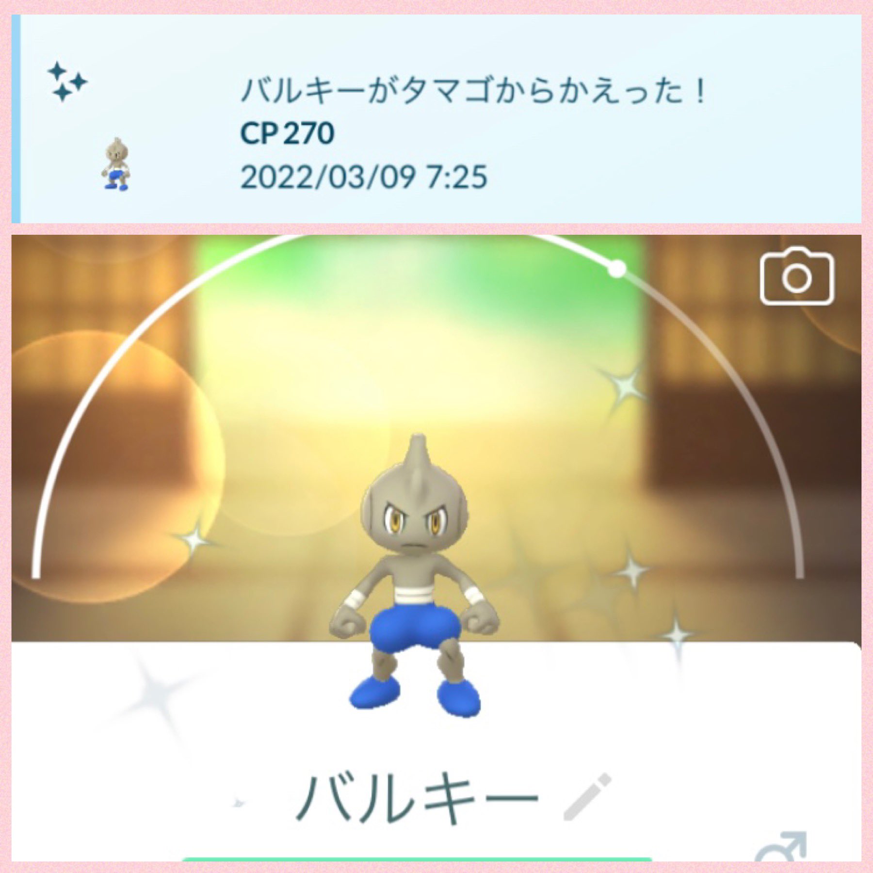 バルキー Twitter Search Twitter