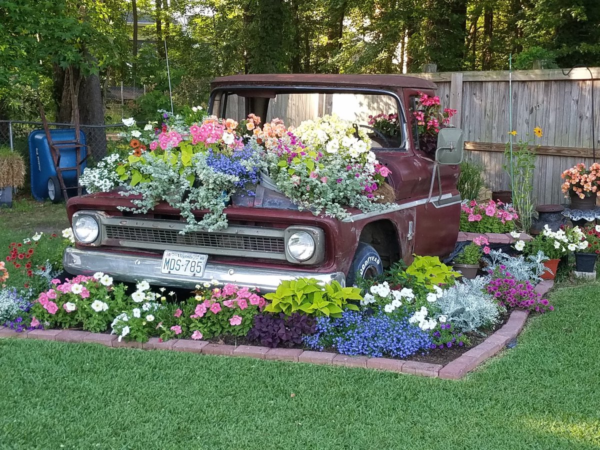 DaniStyron's tweet photo. Time to figure out where to put the flower truck this year! #63c10 #yardart #carolinaflowerbed #cmonspring @finegardening @Proven_Winners @69SweetRide https://t.co/k9cGIaPyxO