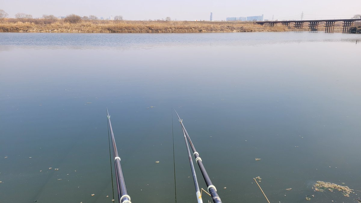 #평택호노양리 입질 꽈당... 하여 #백봉리로 와건만 여기도 묵묵부답...

22년 #첫물낚시는 꽝인가! 붕어야~~ 시조다. 시조.... 첫낚시여~~