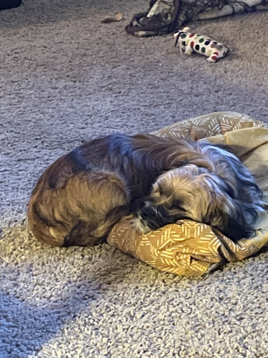 J_Kansas's tweet photo. This is what we all Strive for. 100% relaxation. https://t.co/3sJexeX2OV