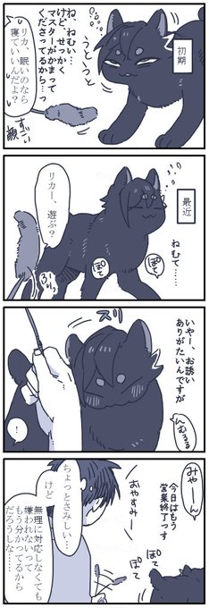 ネコチャン漫画 