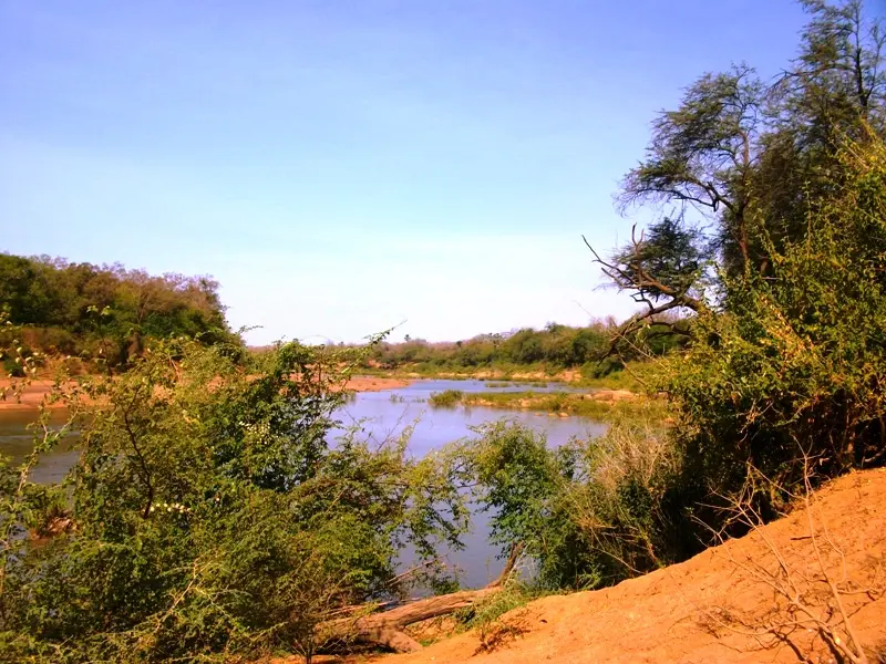 ShireenTurner's tweet photo. In protected areas such as the Niokolo-Koba National Park, it was found that the number of animals in the park had increased by 14 to 42% in comparison to the number of animals outside the park.#39canimals https://t.co/EElofa0Xgm https://t.co/E6oZOSmmzR