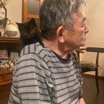 塞ぎ込んでいた父と、行倒れていた猫が出会って一年。生き生きした姿に笑顔の連鎖。