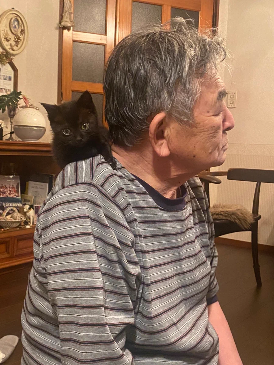 塞ぎ込んでいた父と、行倒れていた猫が出会って一年。生き生きした姿に笑顔の連鎖。