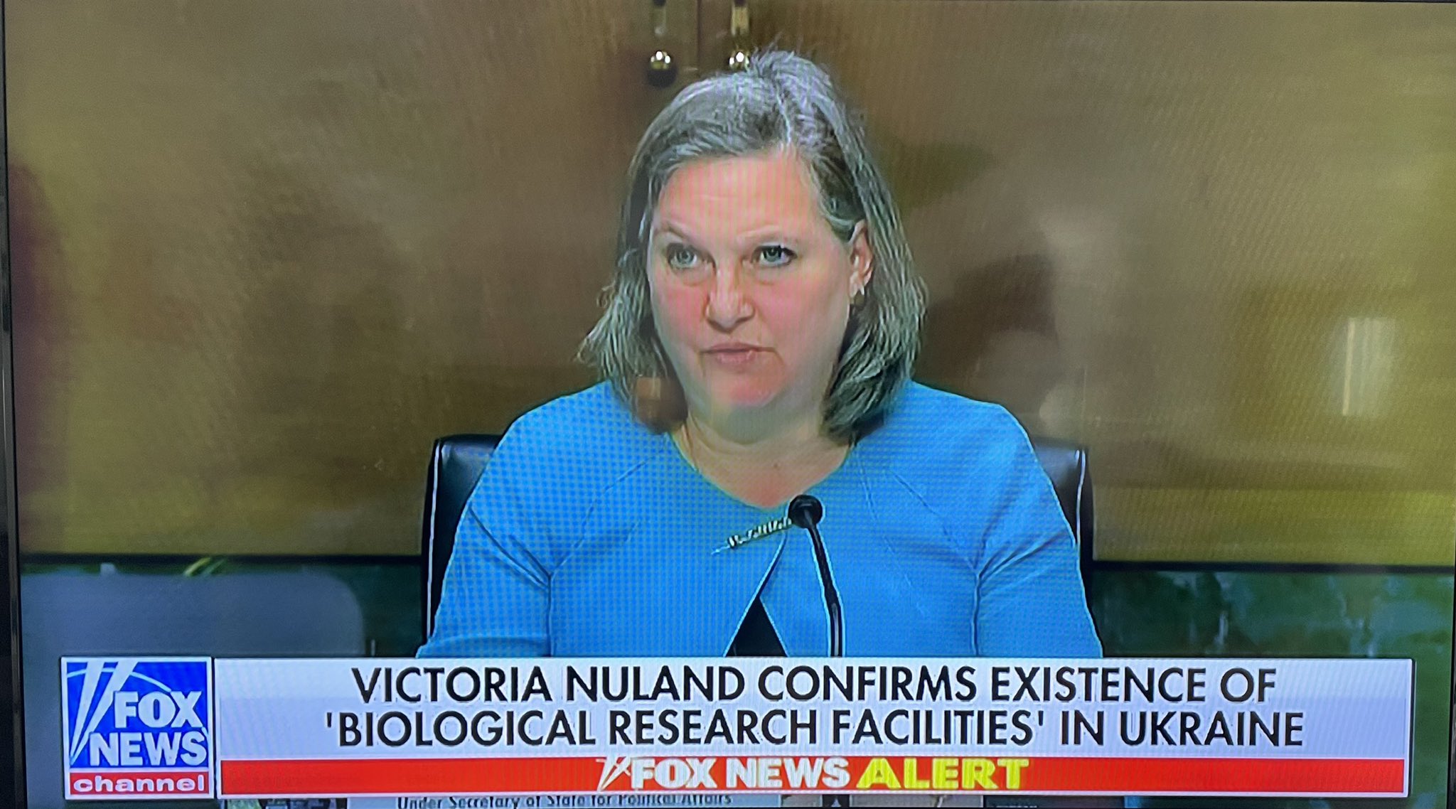 Pastor Steve Cioccolanti on Twitter: "It’s no longer Russian conspiracy