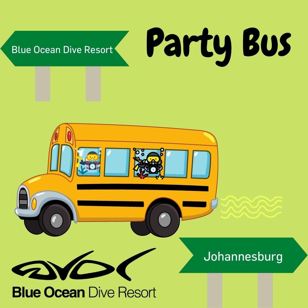 Blueoceandive1's tweet image. blueoceandive.co.za/party-bus-divi…

Every 2 weeks our party bus makes a trip to JNB to come fetch you for your diving week end and bring you back to JNB again. Click the link to find out more details. 

#divingweekend #weekendgetaway #forgeteverything #aliwalshoal #partybus