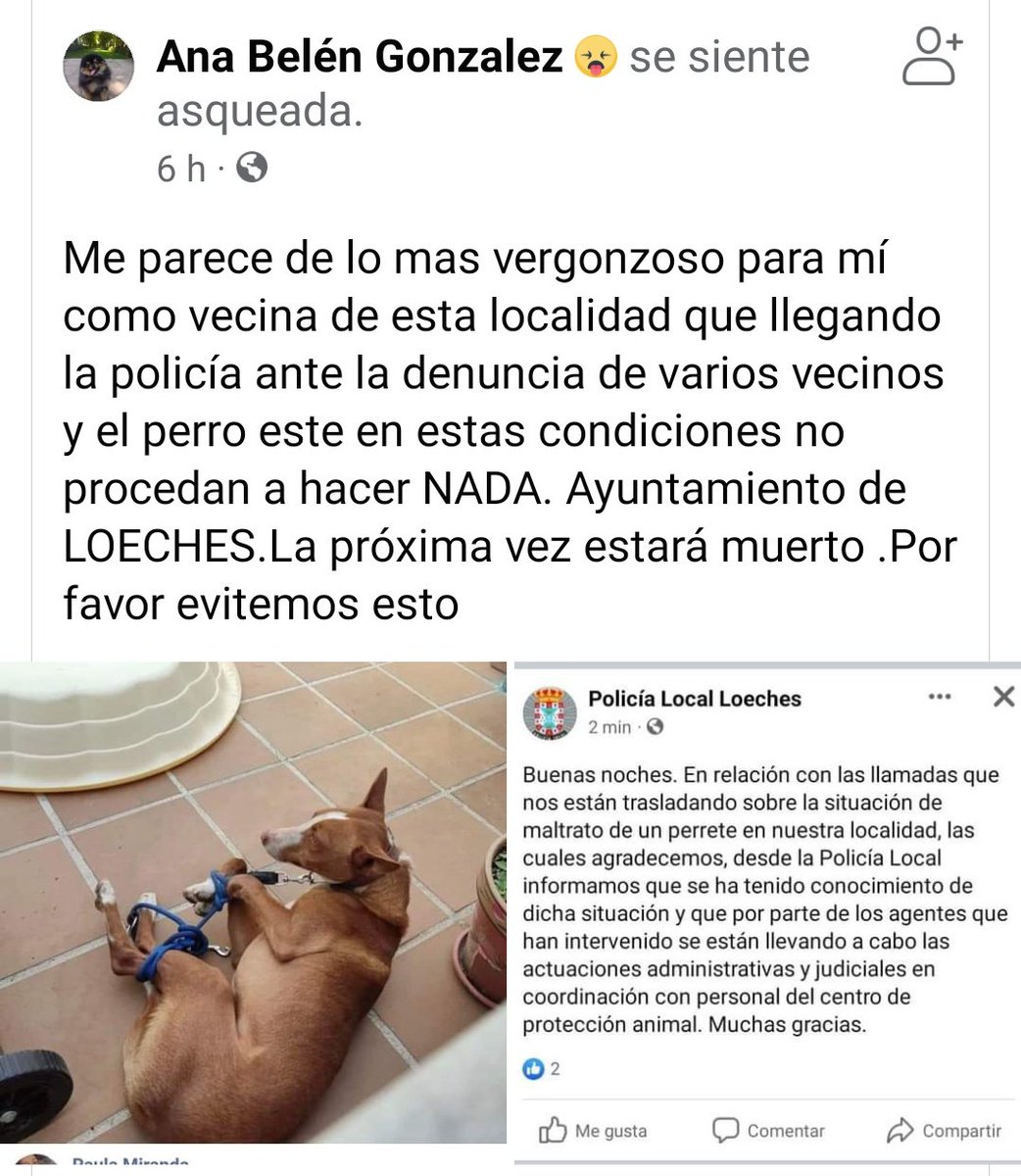 Andrea tweet media