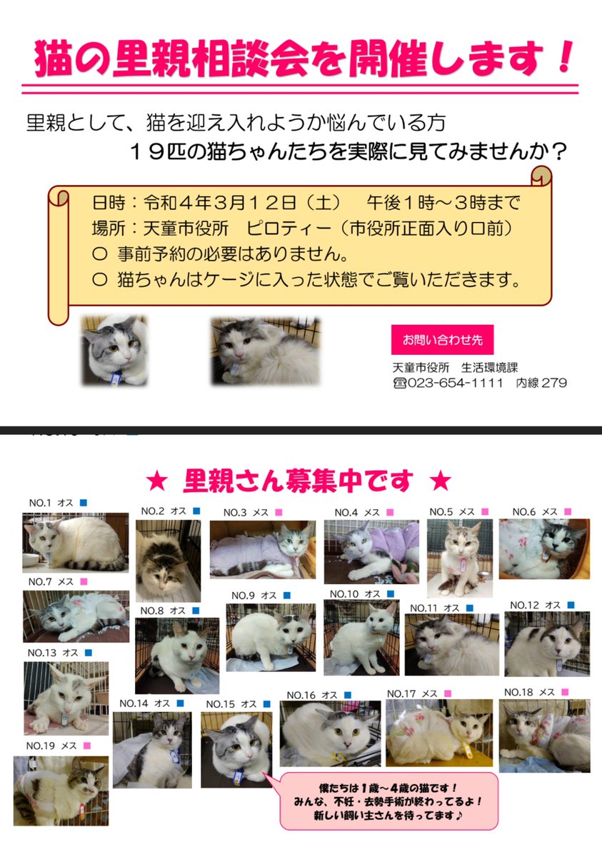 えんたね Entane50 Twitter