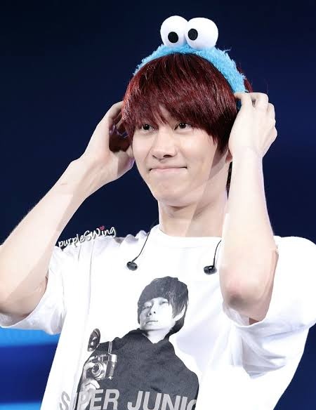 chokemeheechul's tweet photo. extremely cute pics/gifs of kim heechul 🌸

- a thread https://t.co/F3phpT1ZpB