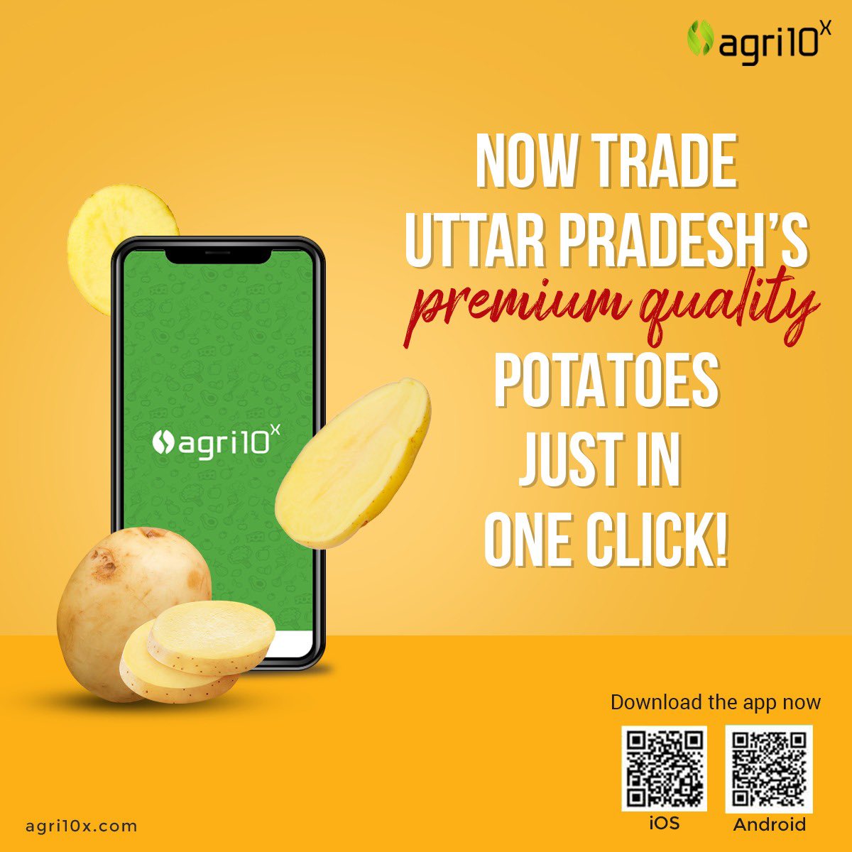 Now trade premium quality potatoes from Uttar Pradesh only on Agri10x.com. Download the app now. #TradeNow #BestDeals #agri10x