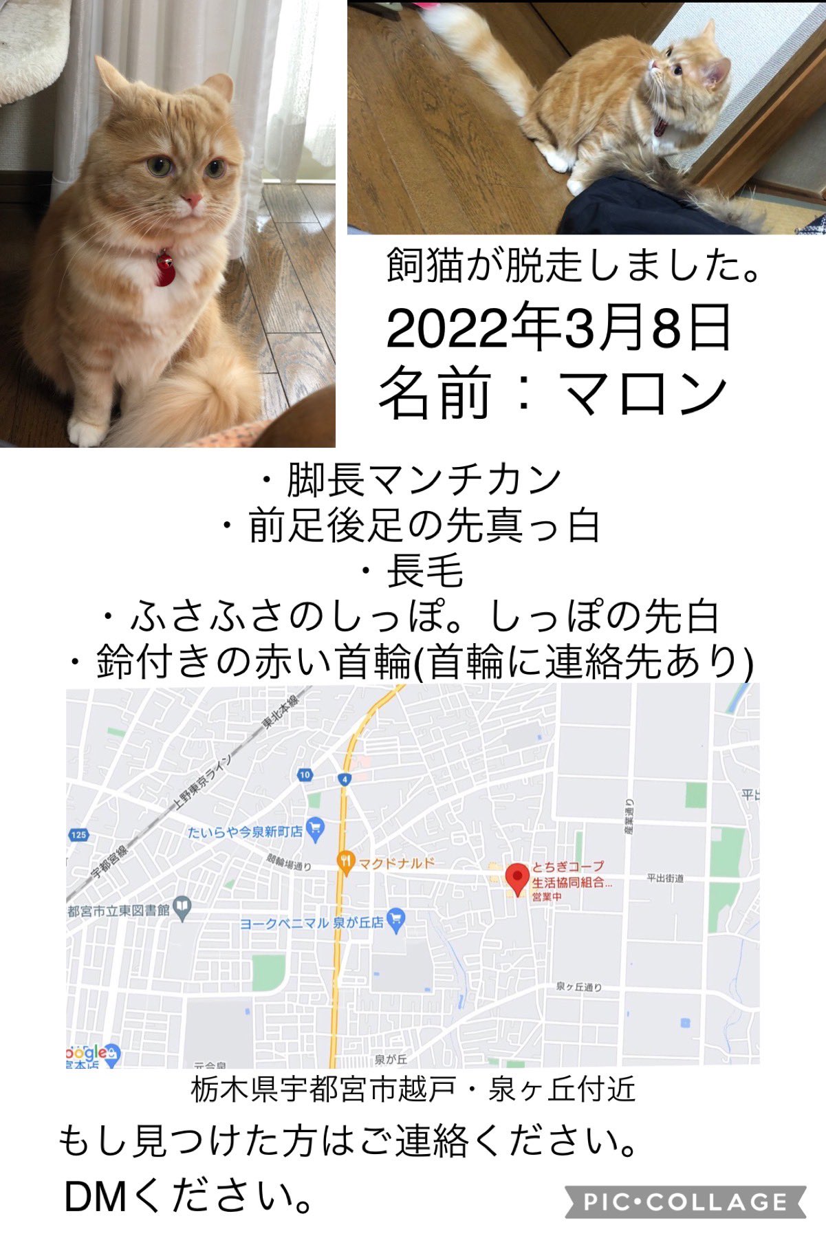 きーぅい Mita3kiss Twitter