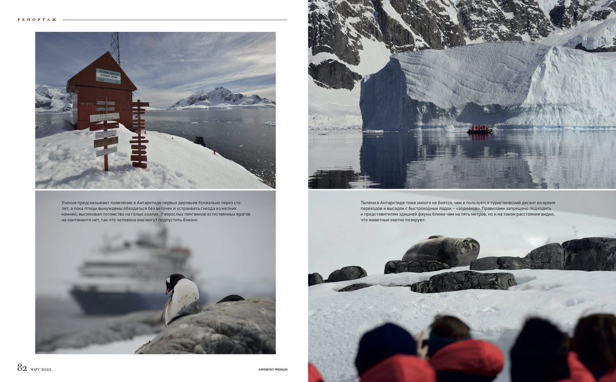 Полосатые айсберги, непуганые пингвины и бородатые полярники у берегов #Антарктиды
#АэрофлотPremium #путешествие #photo #travelphoto #Antarctic #Argentina #Ushuaia