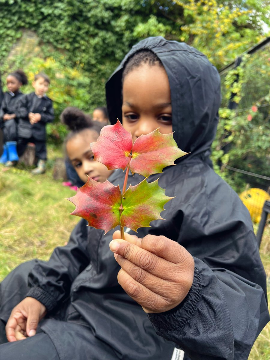 Reception embedded their maths learning at Nature School this morning.  Adrian noticed number facts in the environment and led the play “I have 3 leaves. Amen has 2. 3 and 2 makes 5.” <a href="/WoodhillSch/">Woodhill Primary School</a> <a href="/Woodhillmaths/">Woodhill Maths</a>