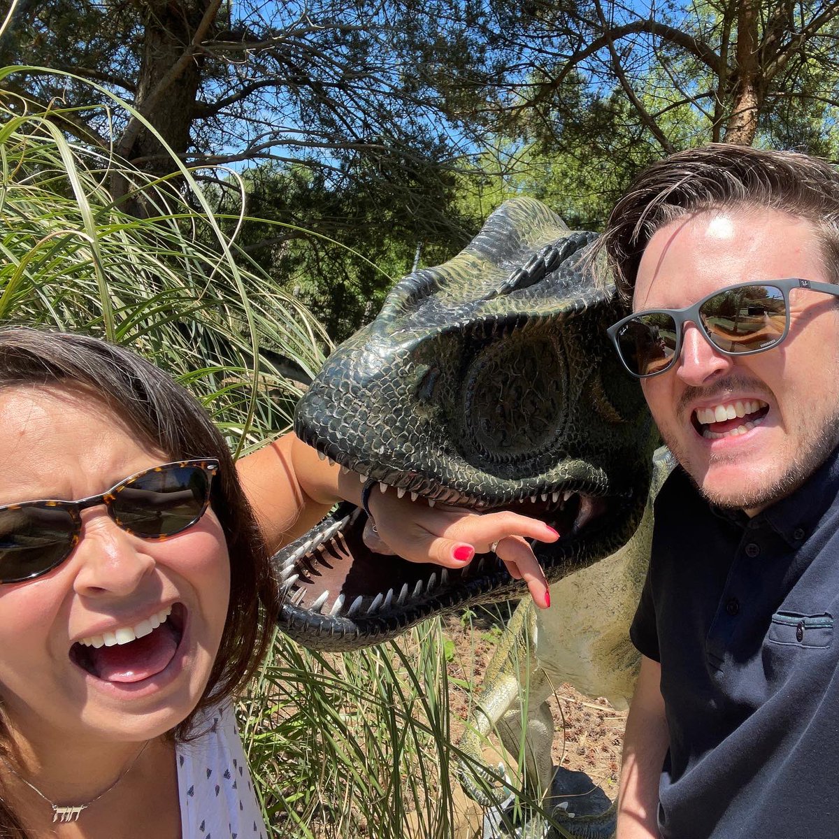 TheDrunkLogic's tweet photo. That’s Erica’s dream. #VelociRaptor #dinosaur #dinosaurs #petraptor #trainedassassin https://t.co/tEd1fqfpR0
